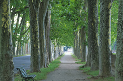 �����������ʐ^