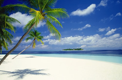 �������C�l�����ʐ^